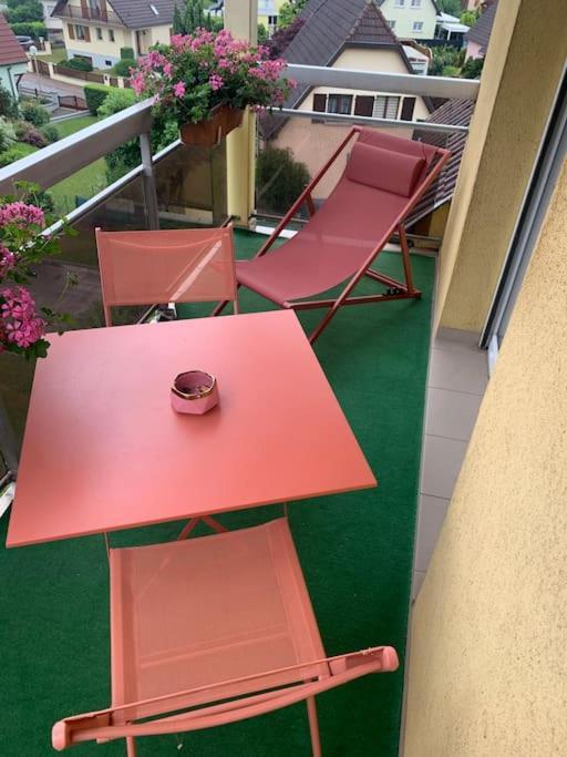 Charmant Appartement 2 Pieces Mundolsheim Exterior foto